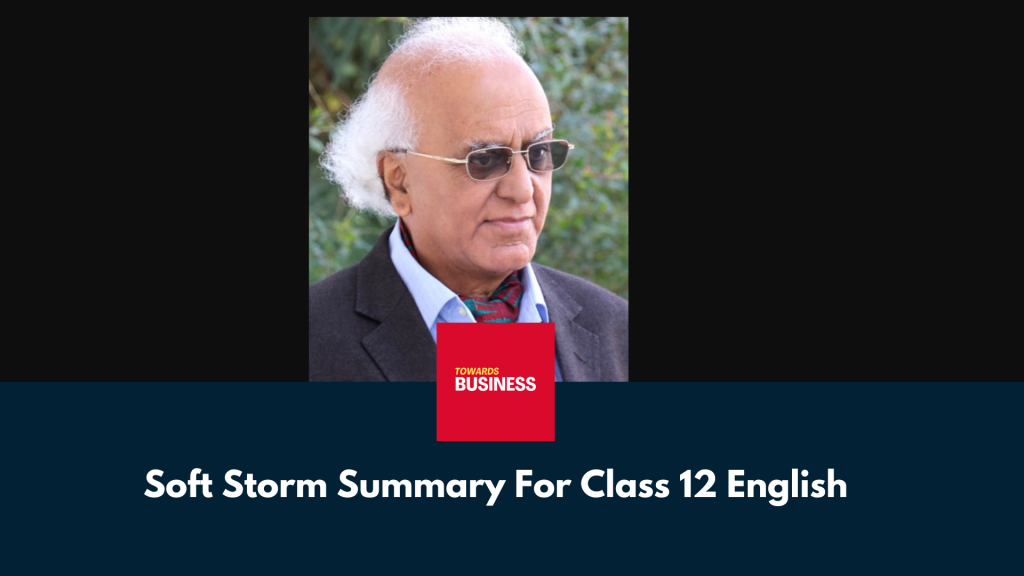 Soft Storm Summary For Class 12 English
